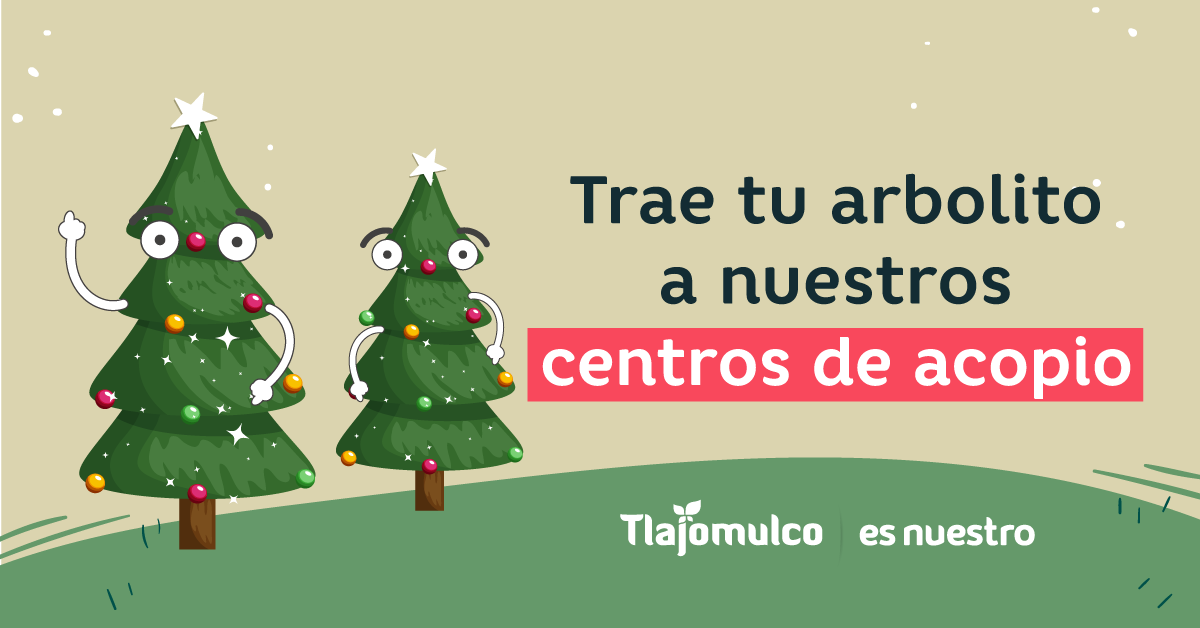 Centros de acopio de árboles de Navidad en Tlajomulco | Unión Jalisco