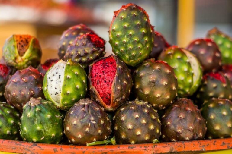 Feria de la Pitaya en Amacueca. ¿Cuándo se realiza?